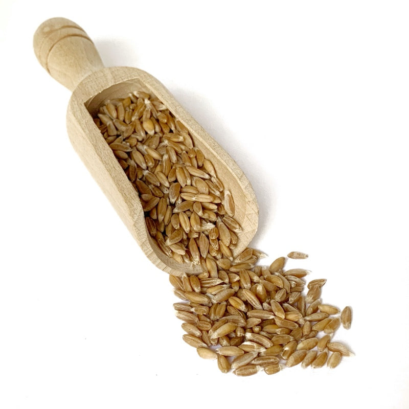 Farro Decorticato Dicoccum Biologico Italiano - 400g