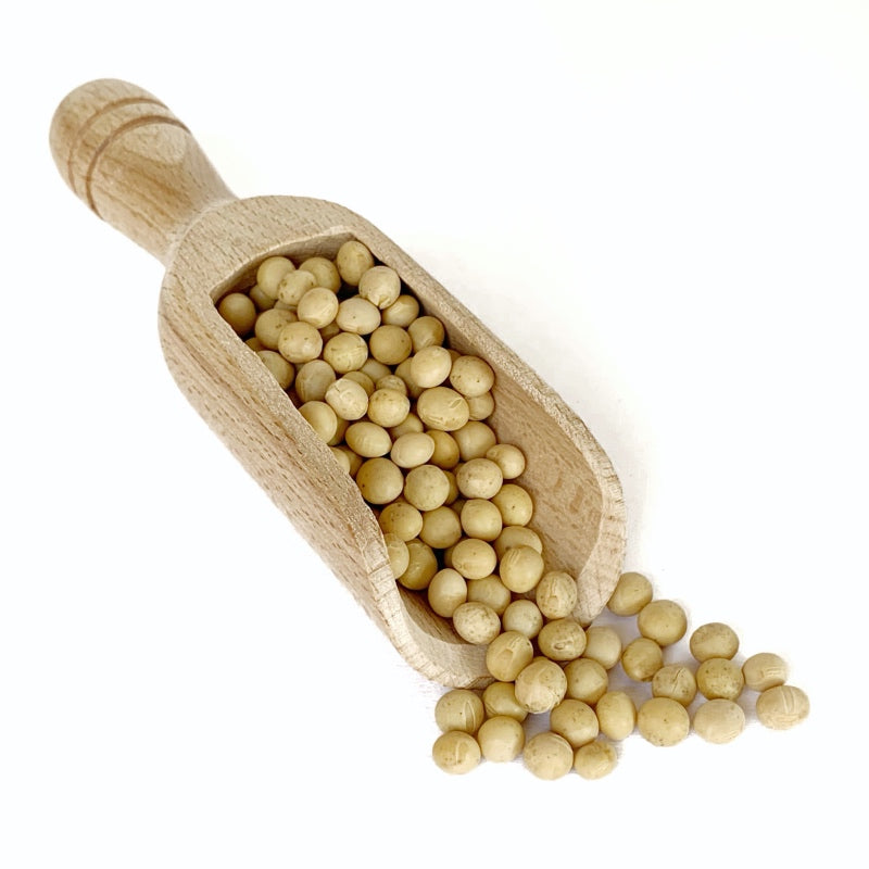 Fagioli di soia gialla Biologica Italiana (senza glutine)