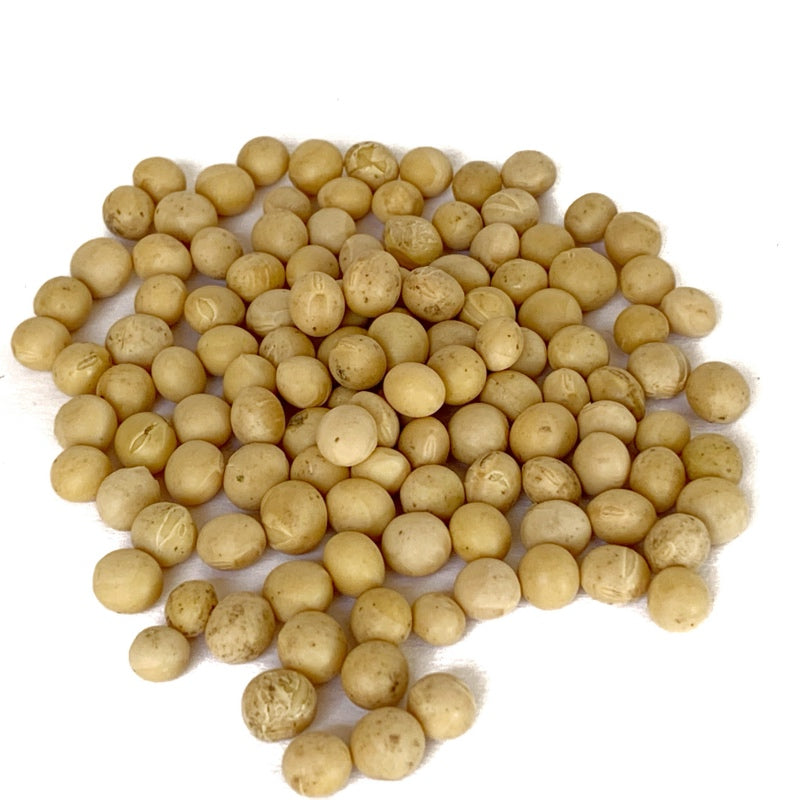 Fagioli di soia gialla Biologica Italiana (senza glutine)