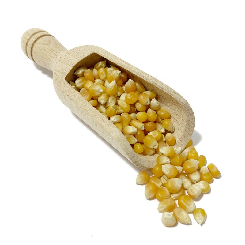Mais Biologico per Popcorn