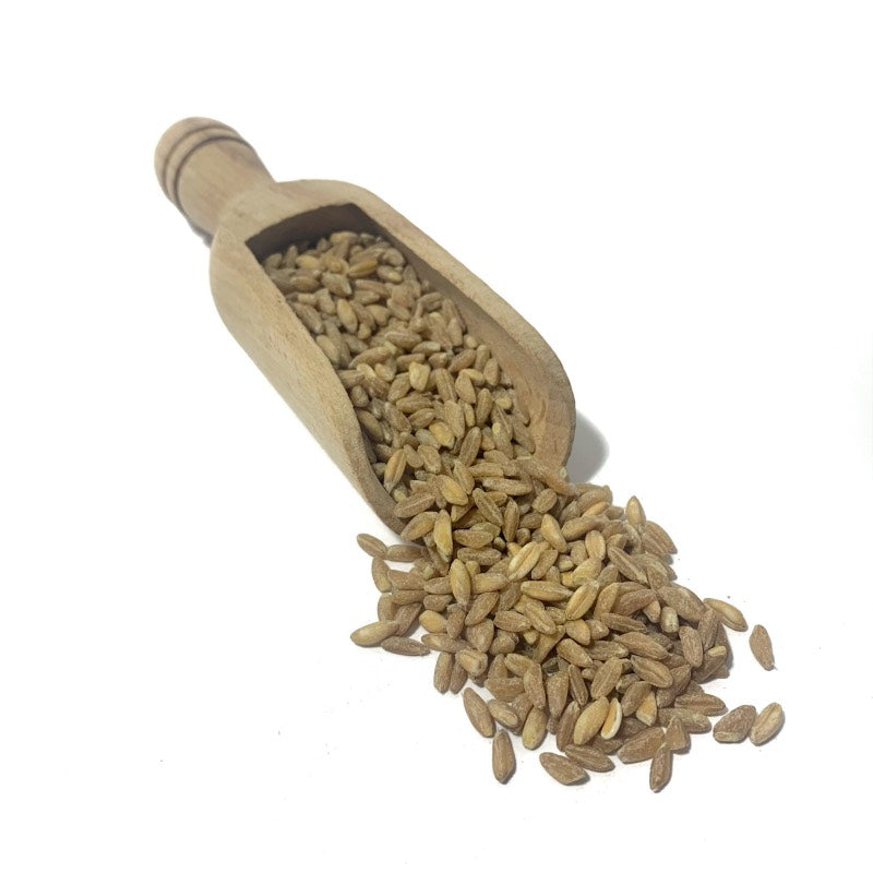 Farro perlato Biologico Italiano