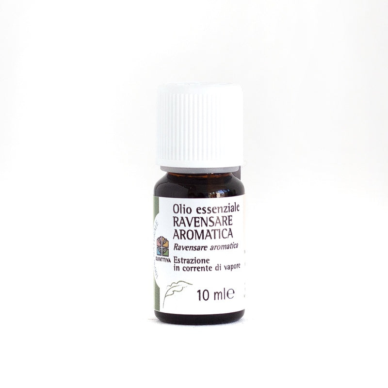 Olio Essenziale Ravensara Aromatica - Olfattiva
