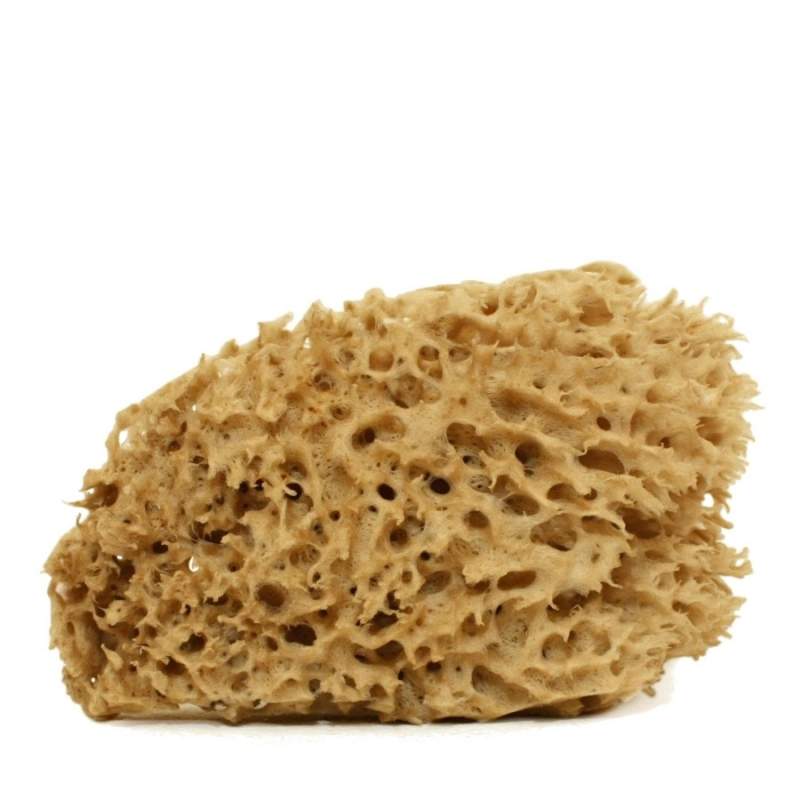 Spugna di Mare Viso Naturale non Sbiancata