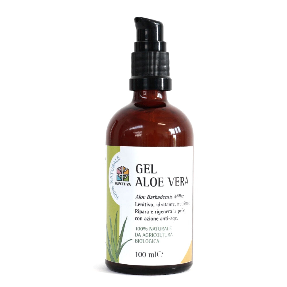 Gel Aloe Vera - Olfattiva – Naturalmente Sfuso