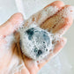 Detergente Mousse Viso DETOX (Pelle da Mista a Grassa) - Senso Naturale