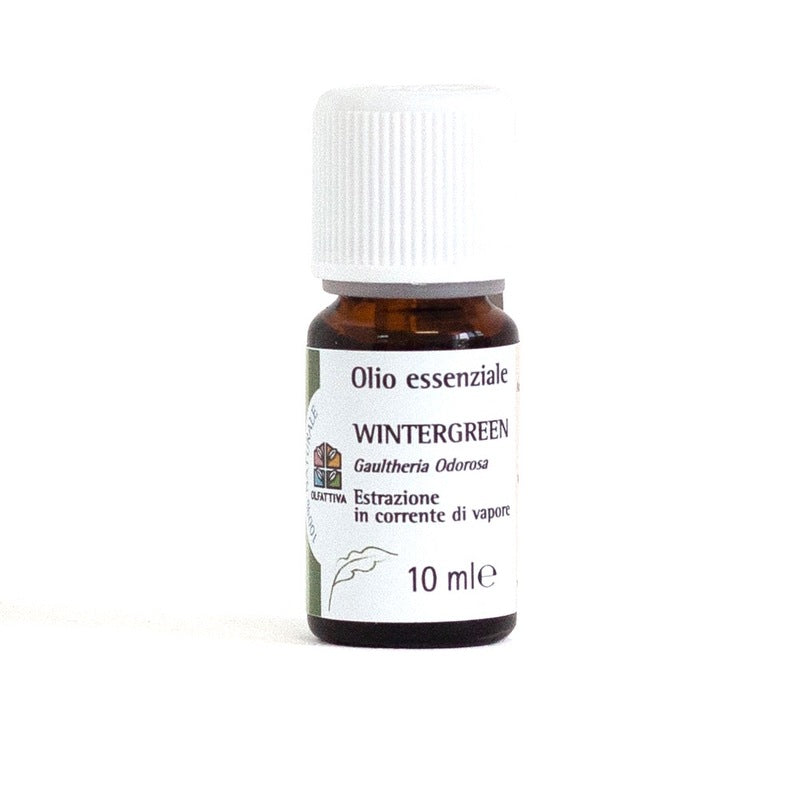 Olio Essenziale Wintergreen - Olfattiva